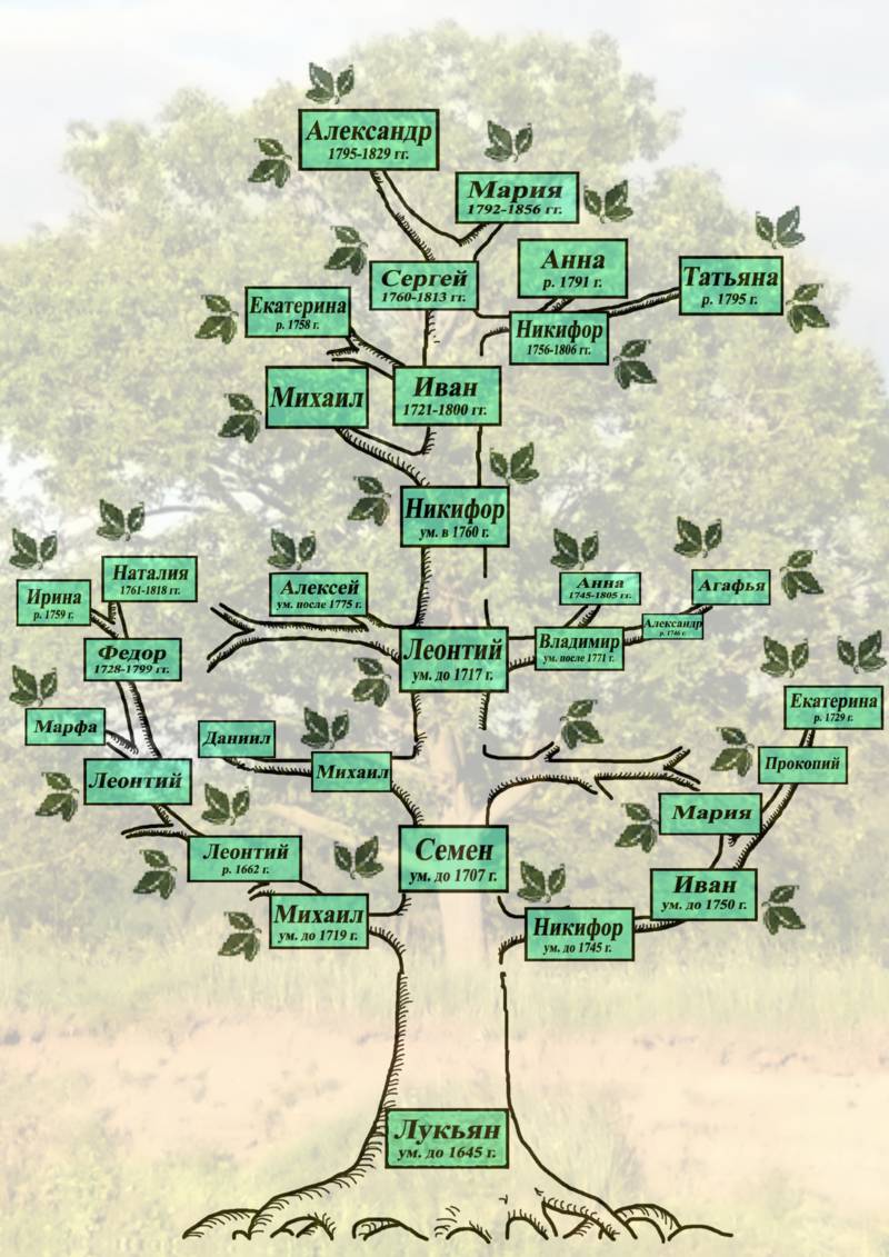 Генеалогическое дерево рюриковичей в картинках